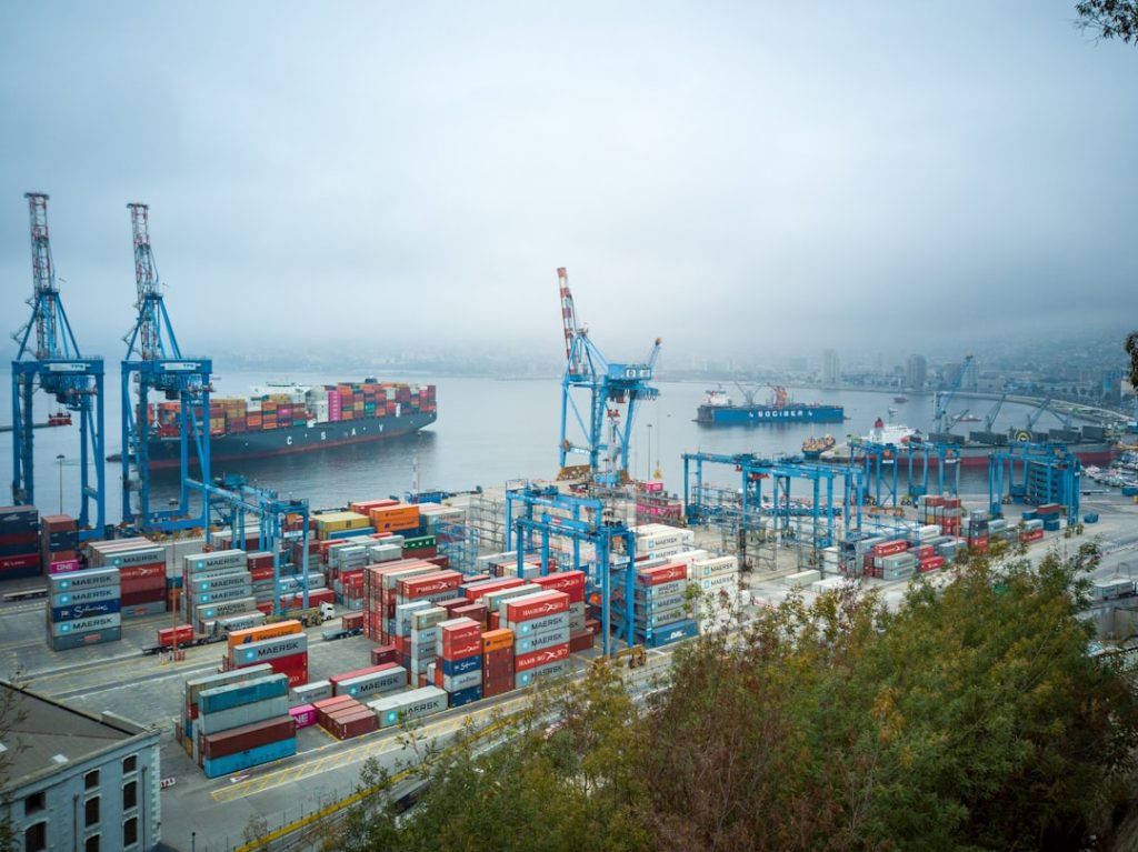 Maritiem leven: alles wat het water ons brengt